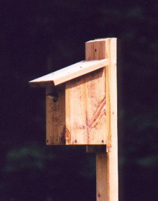 2001_05-J.jpg