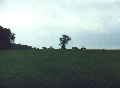 2001_05-K.jpg