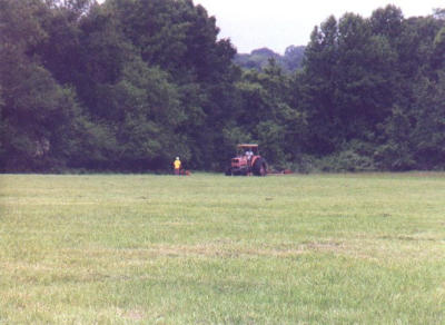 2001_06-10.jpg