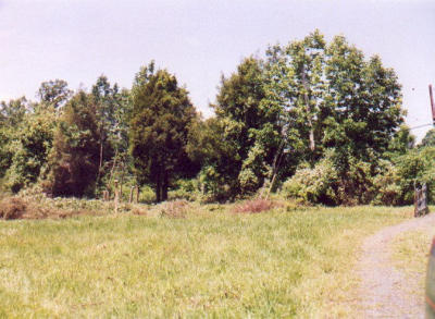 2001_06-2.jpg