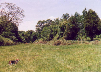 2001_06-3.jpg