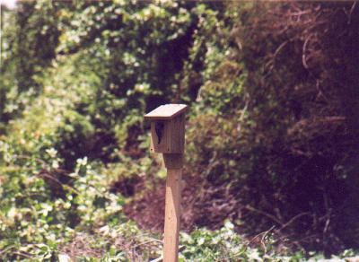 2001_06-4.jpg