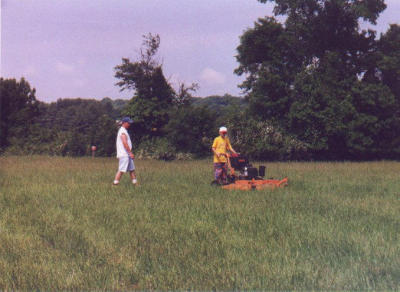 2001_06-6.jpg