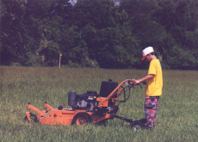 2001_06-8.jpg