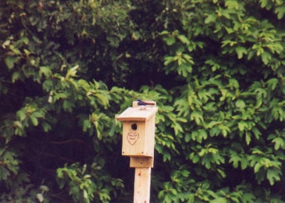 2001_06-9.jpg