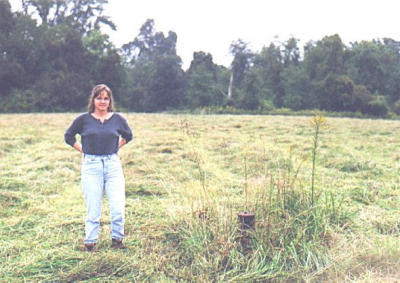 photo27.jpg