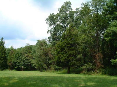 2001-08-130.JPG