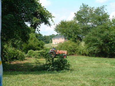 2001-08-131.JPG