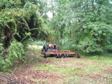 2001-08-051.JPG