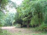 2001-08-066.JPG