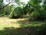 2001-09-013.JPG