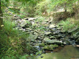 2001-09-186.JPG