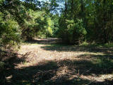 2001-09-212.JPG