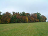 2001-10-033.JPG
