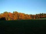 2001-10-101.JPG