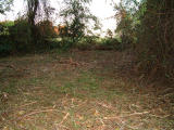 2001-10-113.JPG
