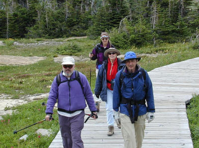 Logan's Pass - Glacier