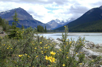 On the Icefields Parkway