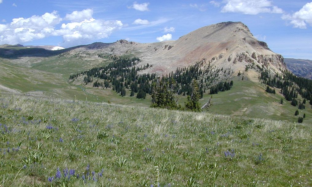 On the Beartooth Highway, Wyoming-Montana