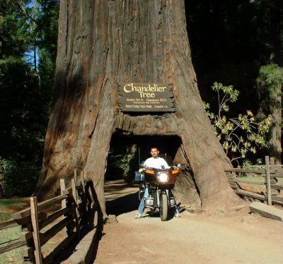 7-Sequoia 2001