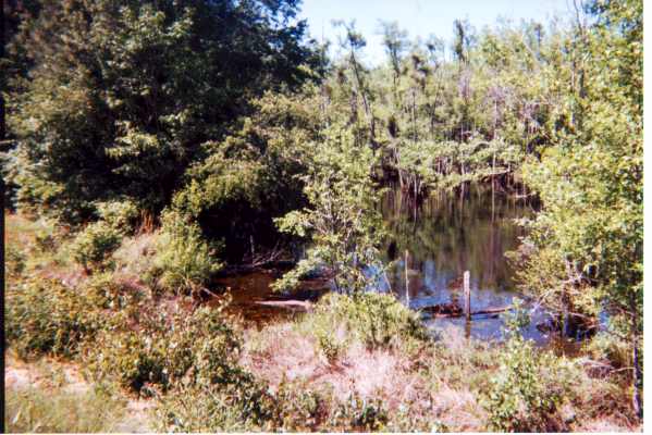 Soldiers Pond, Near Blockhouse Church (Fort Clark), Near Jacksonville, Ga.