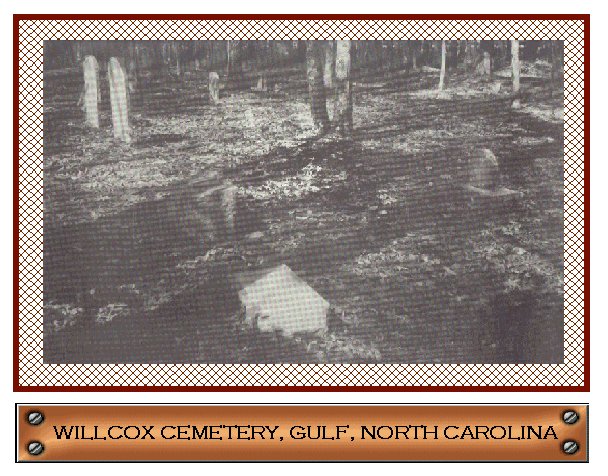 Willcox Cemetery, Gulf, Deep River, North Carolina