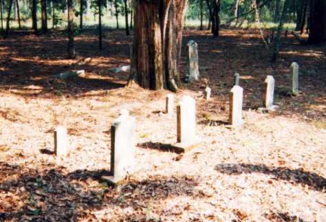 Graves of Two Wives And Children Of Lt. Col. Wiley Williams At Old Concord