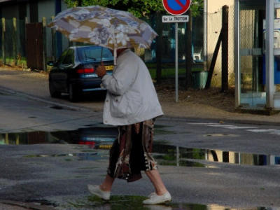 the-umbrella.jpg