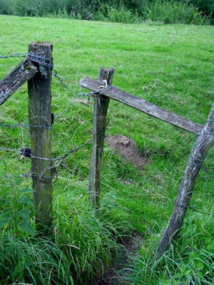 entrance-to-meadow.jpg