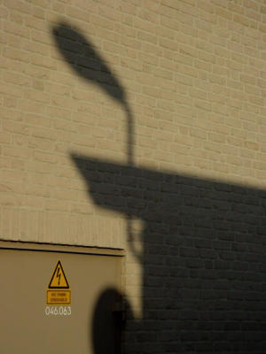 photogram3.jpg