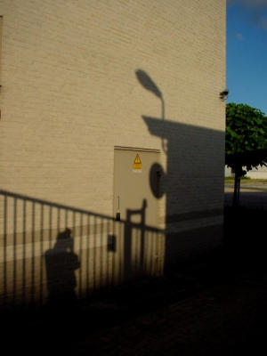 photogram4.jpg