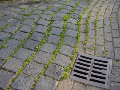 pavement2.jpg