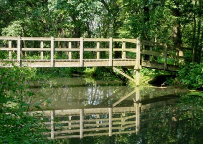 bridge.jpg