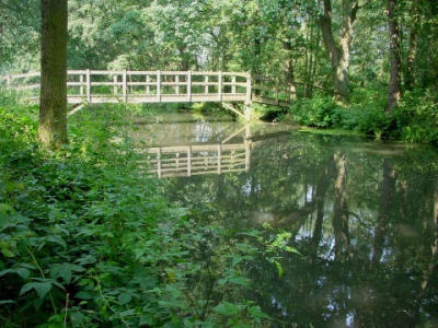 bridge1.jpg