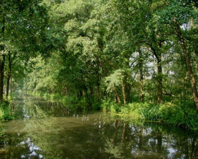 canal.jpg