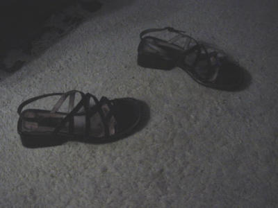 pair-of-shoes1.jpg