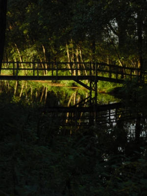 Dsc00110.jpg