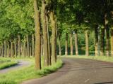 klinkerweg4.jpg