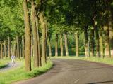 klinkerweg5.jpg