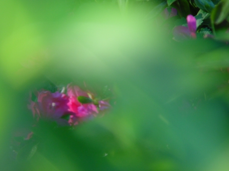 reversed-DOF.jpg