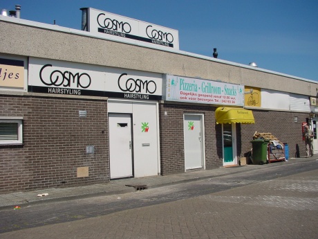 cosmos.jpg