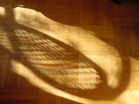 morning-sun2.jpg