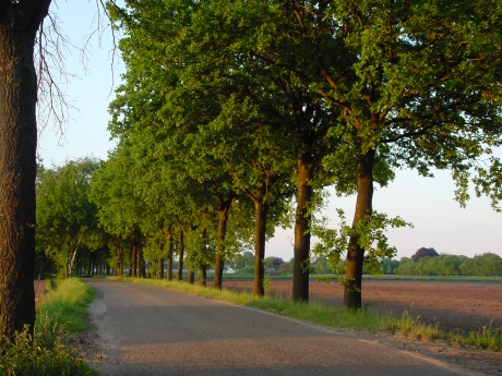 country-site-eersel
