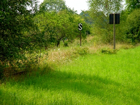 fresh-signs.jpg