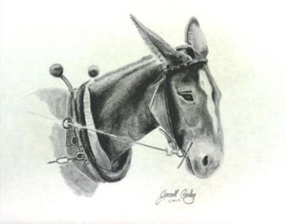 old mule.jpg