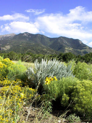 Great Sand Dunes National Monument, CO