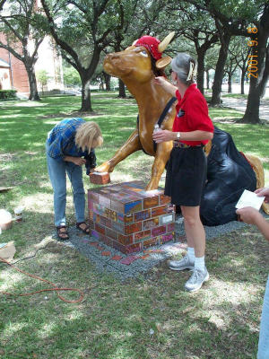 u/jsmolen/medium/320237.cow7.jpg