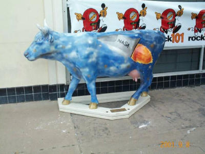 Cows Around Houston