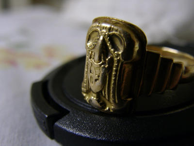 11200176.JPG