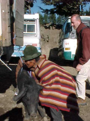 Zumbahua indianenmarkt